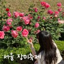 [중랑] 서울 장미축제 미리 다녀왔어요🌹 분위기·동선 후기