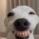 편한미용