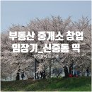 신 모다공인중개사사무소 | 부동산 중개소 창업 임장기_신중동 역