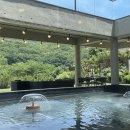 유정1955 이미지