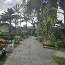 달비치 | [바기오 한달살기] 🌅산후안 일몰 맛집! 카후나 비치 리조트 식당 솔직 후기