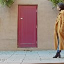 듀얼몬스터 이미지