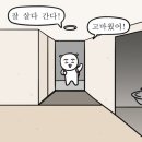 거친 서울 전세에 뛰어든 건 나니까....(전세후기, 셀프청소 꿀팁)