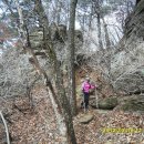 동막농장 이미지