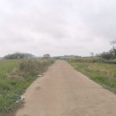 대정읍 신도3리사무소 이미지