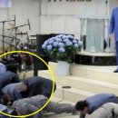 가야종합동물병원 이미지