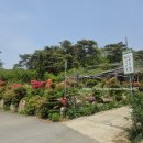 산수유길사이로 네이버블로그
