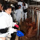 증산한우농장 이미지