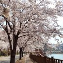 병산빛물꿈테마길 이미지