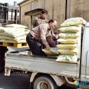 삼광사료 이미지