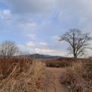 원주굽이길 7코스 태조왕건길 이미지