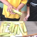 대창초등학교 이미지