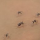 비상메디칼 이미지