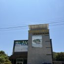 해금강 | 거제도 여행 필수코스 해금강 유람선 | 해금강 선상관광 50분 코스 후기