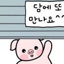 라쿵푸마라탕영천점 이미지