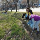 용이동행정복지센터 이미지