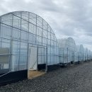 육성농장 이미지