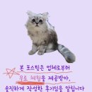 후메디앙스 | 메디앙스 닥터아토 무료 본품 체험 당첨 후기 리뷰