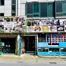 버들횟집 - 하동군 화개로 26 | 버들횟집