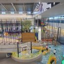 큰나무유치원 이미지