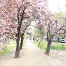 월곡역사공원 이미지