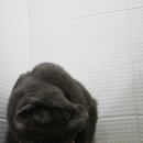 별난동물병원 이미지