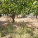 전원 부동산 중개인 사무소 이미지