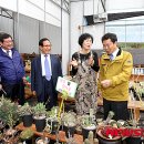 진흥농산 이미지