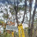 황산면사무소 이미지