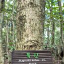 한라산PC | 한라산 성판악-관음사코스, 고도에 따른 식생 변화