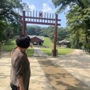 헌인릉 | 🌿 헌인릉 산책코스 후기｜서울에서 조용하게 걷기 좋은 힐링 장소