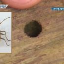 더에이스컨설팅