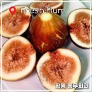 홍집농장 | 함평 홍무화과 프레시티움 무화과 1kg 제철 과일 후기
