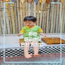 [화성-찜질방] 하피랜드, 서울 근교 대형 온천 찜질방 아이와 가볼 만한 곳