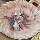 회밀리 떳다 | 경주 회 맛집 추천｜회밀리떳다 모듬회 & 회상차림 솔직 후기