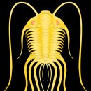 엔도픽스 이미지