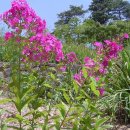 병목안시민공원 이미지