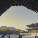 정자로 | 경복궁 단풍 실시간 향원정 데이트 꿀팁, 가을에 이쁜 서울 종로 가볼만한곳