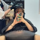 행신 미용실 / 에이바헤어 행신역점에서 유빈쌤한테 올리브브라운 염색 받은 후기