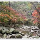 충북 청록산악회 제387차 경남 울주 간월산(1063) 10월 정기산행 이미지