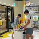 신안스포츠클럽 수영장 일일자유수영 후기 / 코엑스 딤딤섬 : 삼성역 수영장, 삼성역 자유수영