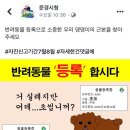 문경시청 반려동물 등록 홍보 이미지 이미지