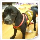 하단2동-1 이미지