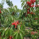 미호농장 이미지