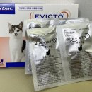 제일동물약품 이미지