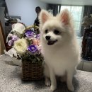 HoEat(호잇) 이미지