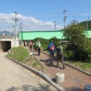 용문산 은행나무길(물소리길 6코스) 이미지