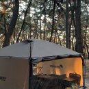 솔향약국 이미지