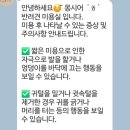 몽시어 네이버블로그