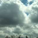 달빛 햄스터리 서울점 이미지